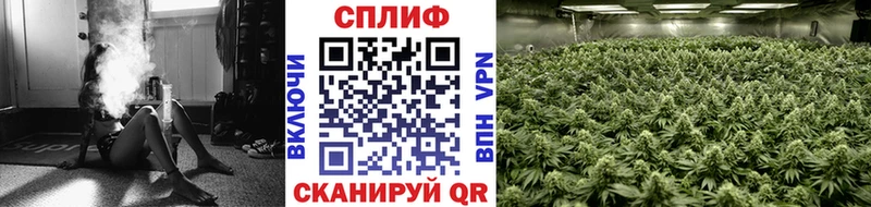МАРИХУАНА THC 21%  Ялуторовск 